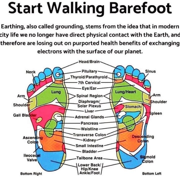 Meet your Posher, Lance   And I will do trades. - Picture 15 of 15